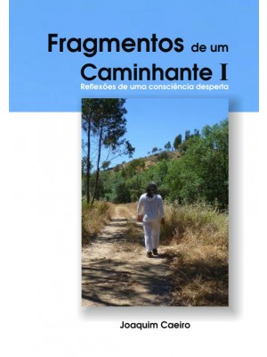 Fragmentos de um Caminhante I